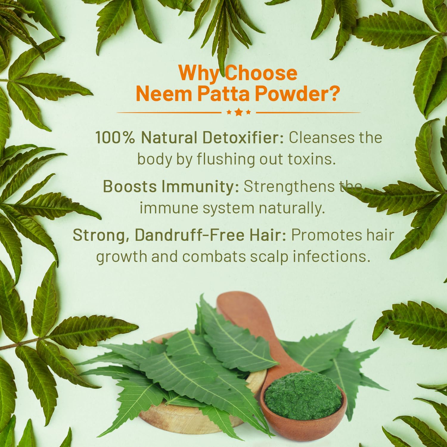SampurnaVeda Neem Leaves Powder 100 gm Pure and Chemical-Free Finely Ground Neem Leaf Powder Ideal for Skin Hair and DIY Recipes